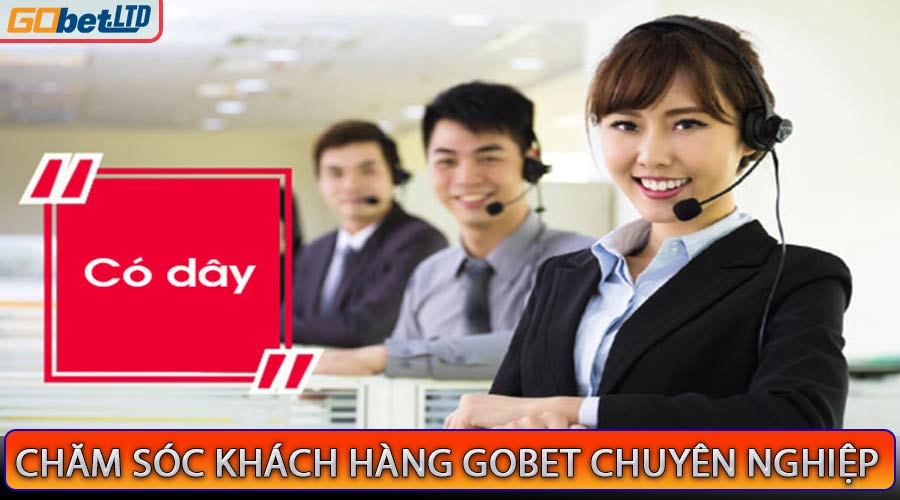 Chăm Sóc Khách Hàng Nhà Cái Gobet Chuyên Nghiệp 247