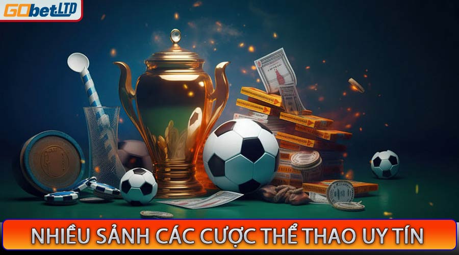 Nhiều sảnh cá cược thể thao uy tín